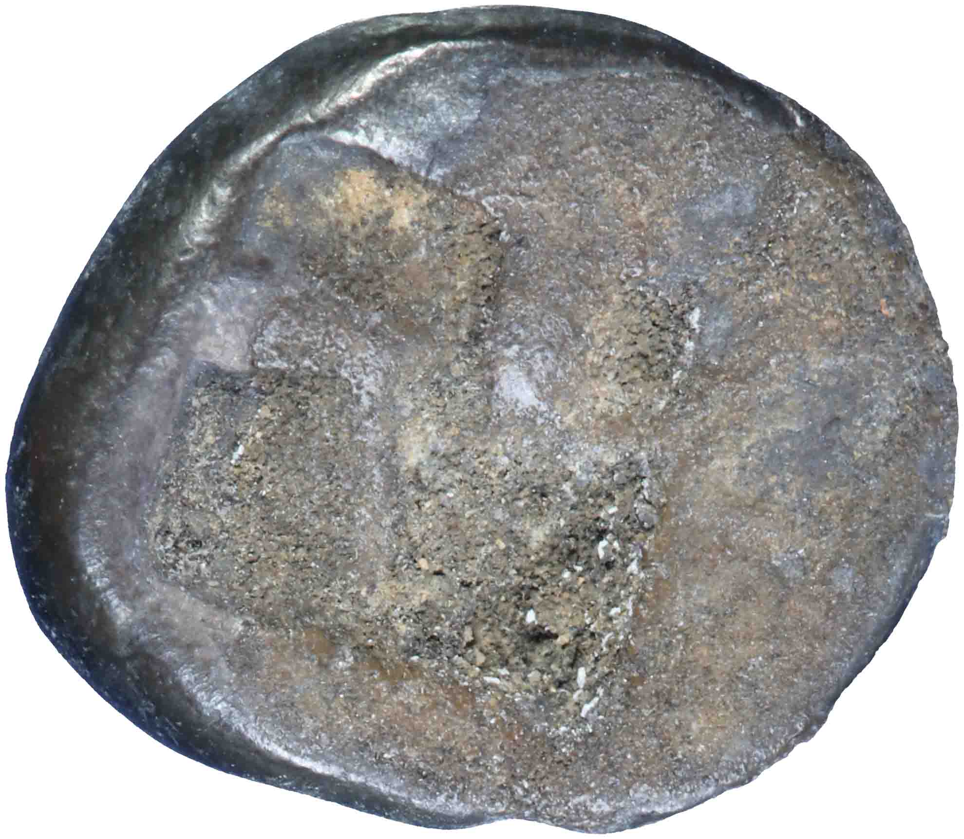 Image of the reverse. tritartemorion. Inventory number:RE-00454