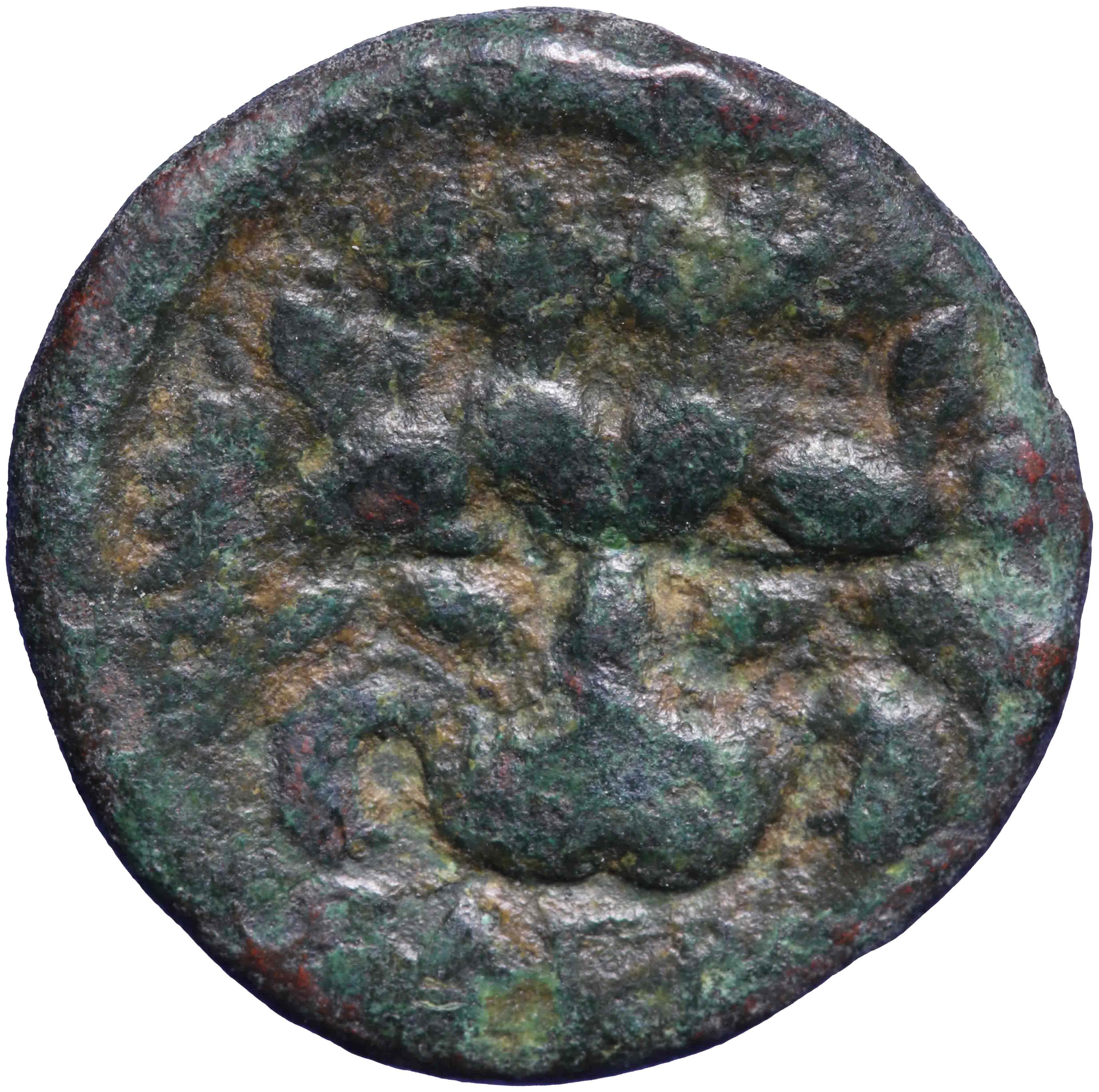 Image of the reverse. AE 14 mm. Inventory number:RE-00462