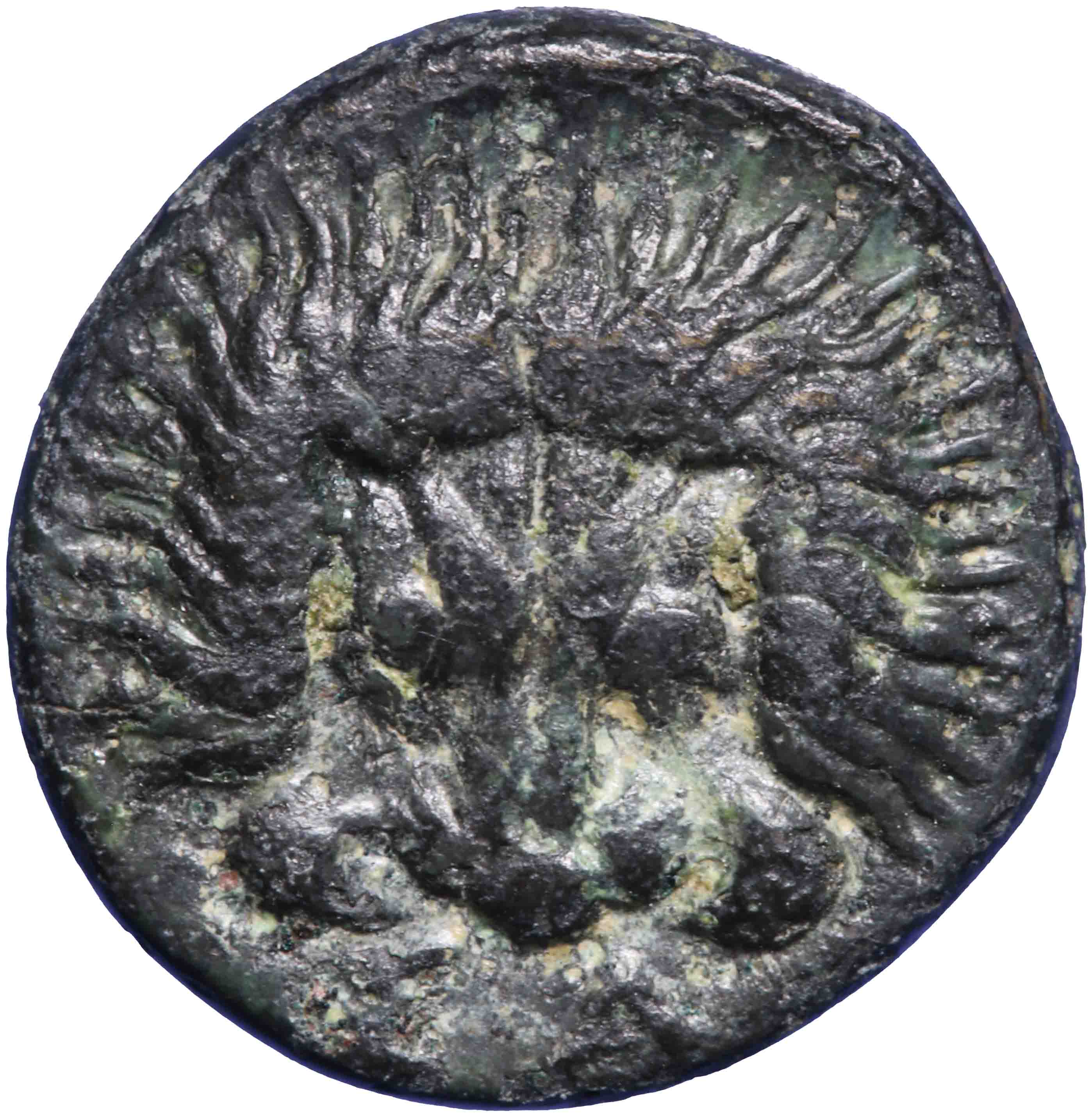 Image of the reverse. AE 11 mm. Inventory number:RE-00465