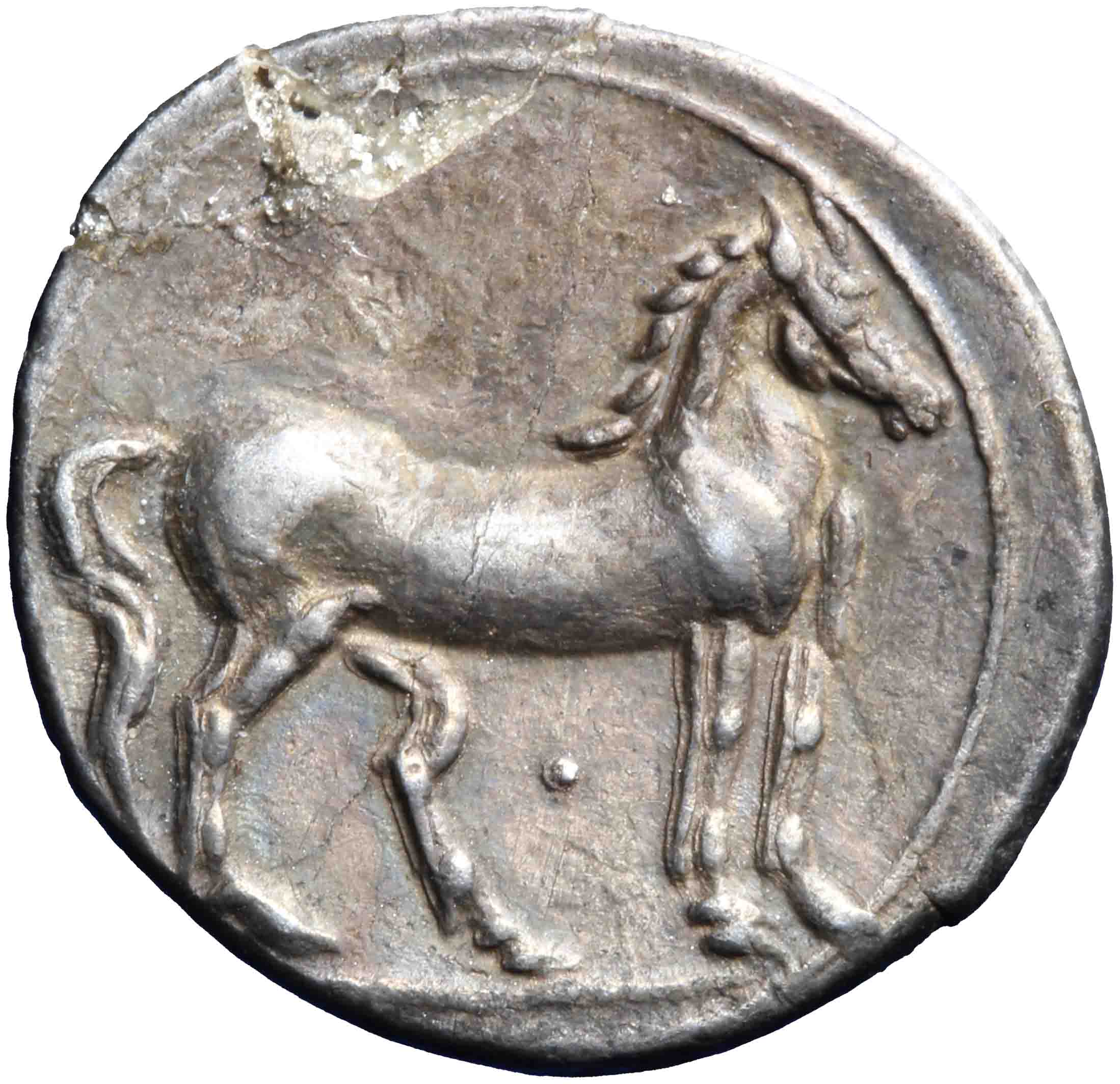 Image of the reverse. hemidrachm. Inventory number:RE-01960