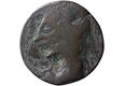 Image of the obverse. munten (c. 264-241 BC)