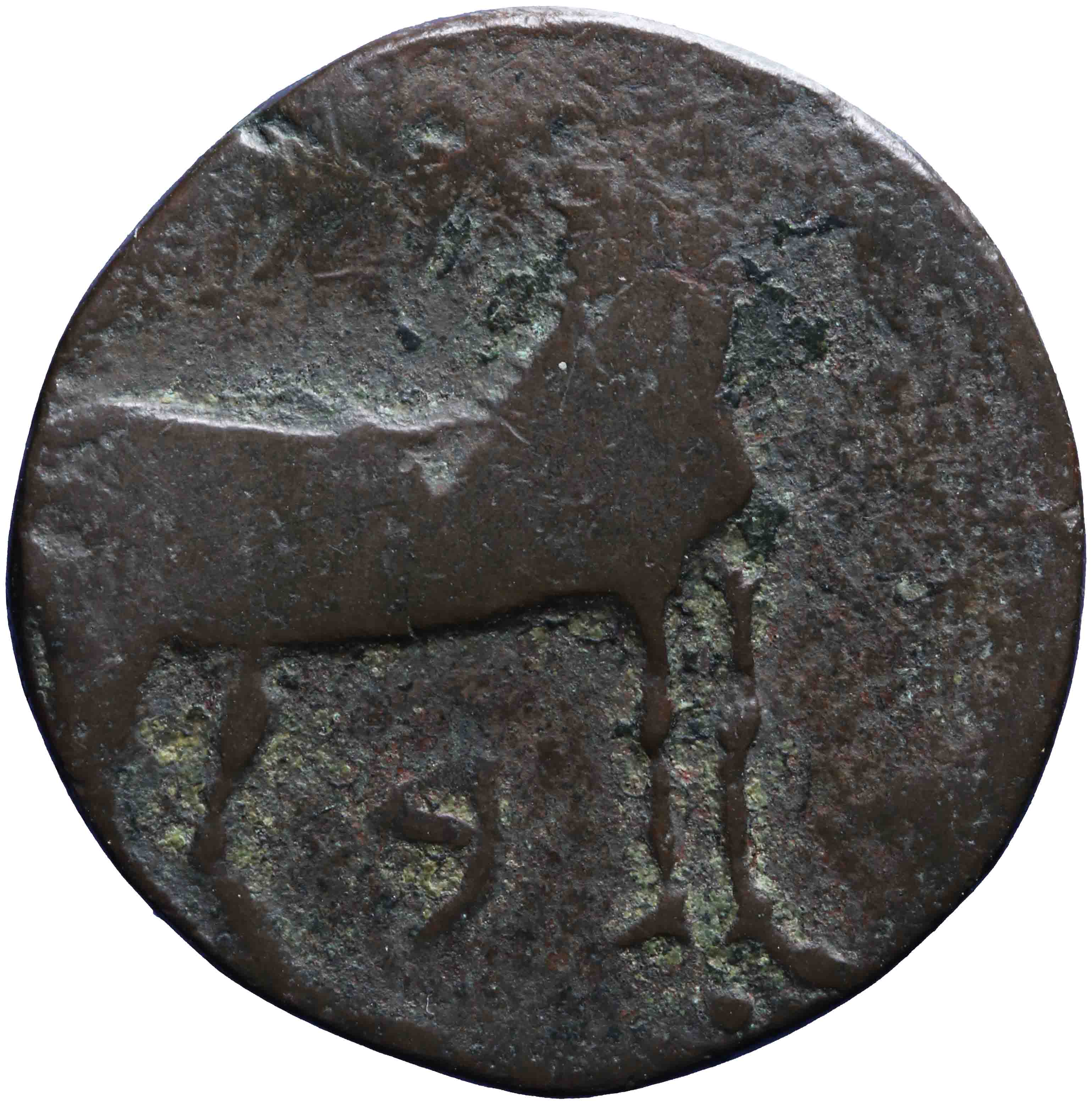 Image of the reverse. AE 22 mm. Inventory number:RE-02023