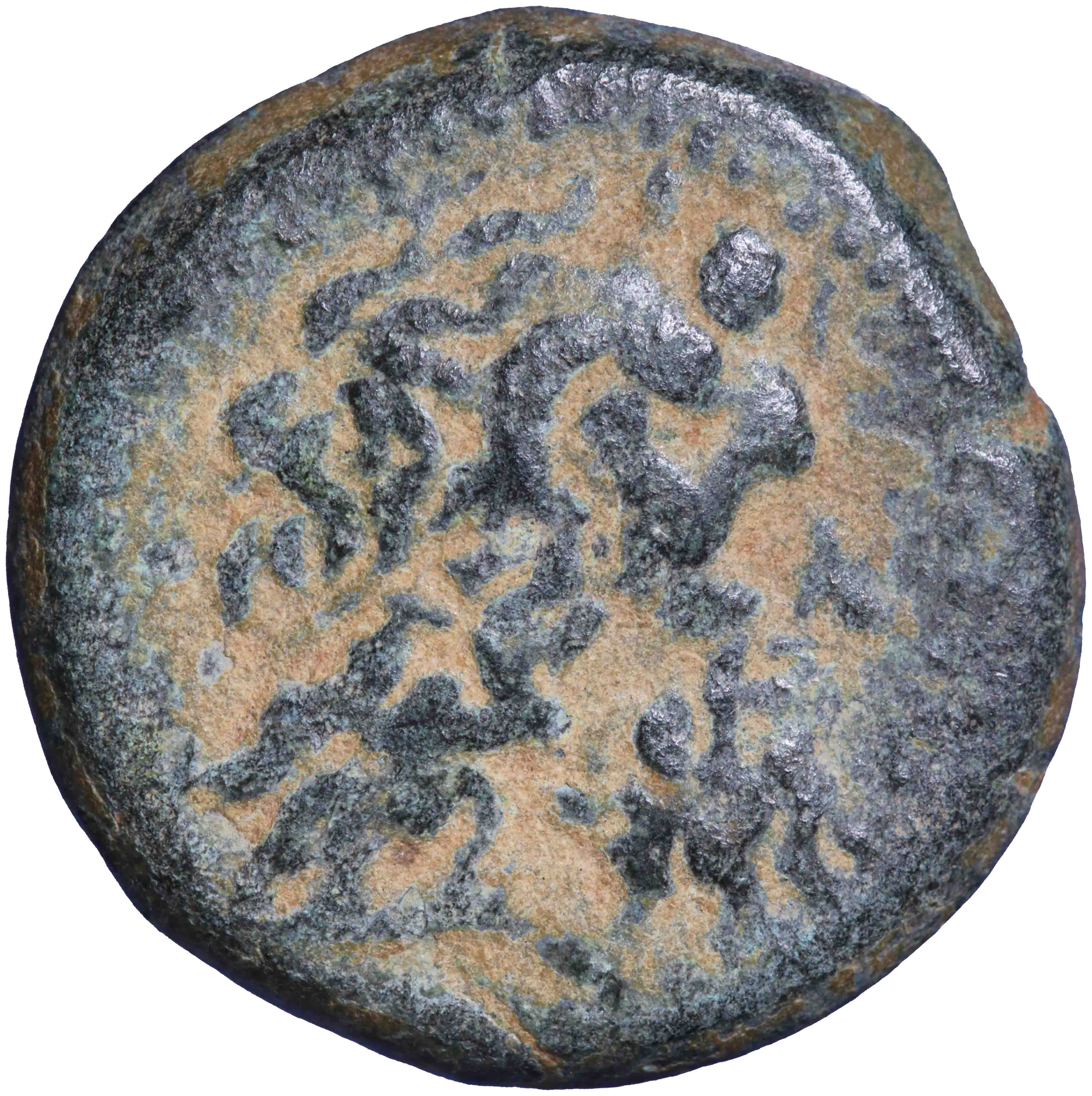 Image of the obverse. AE dichalkon (light). Inventory number:RE-02076