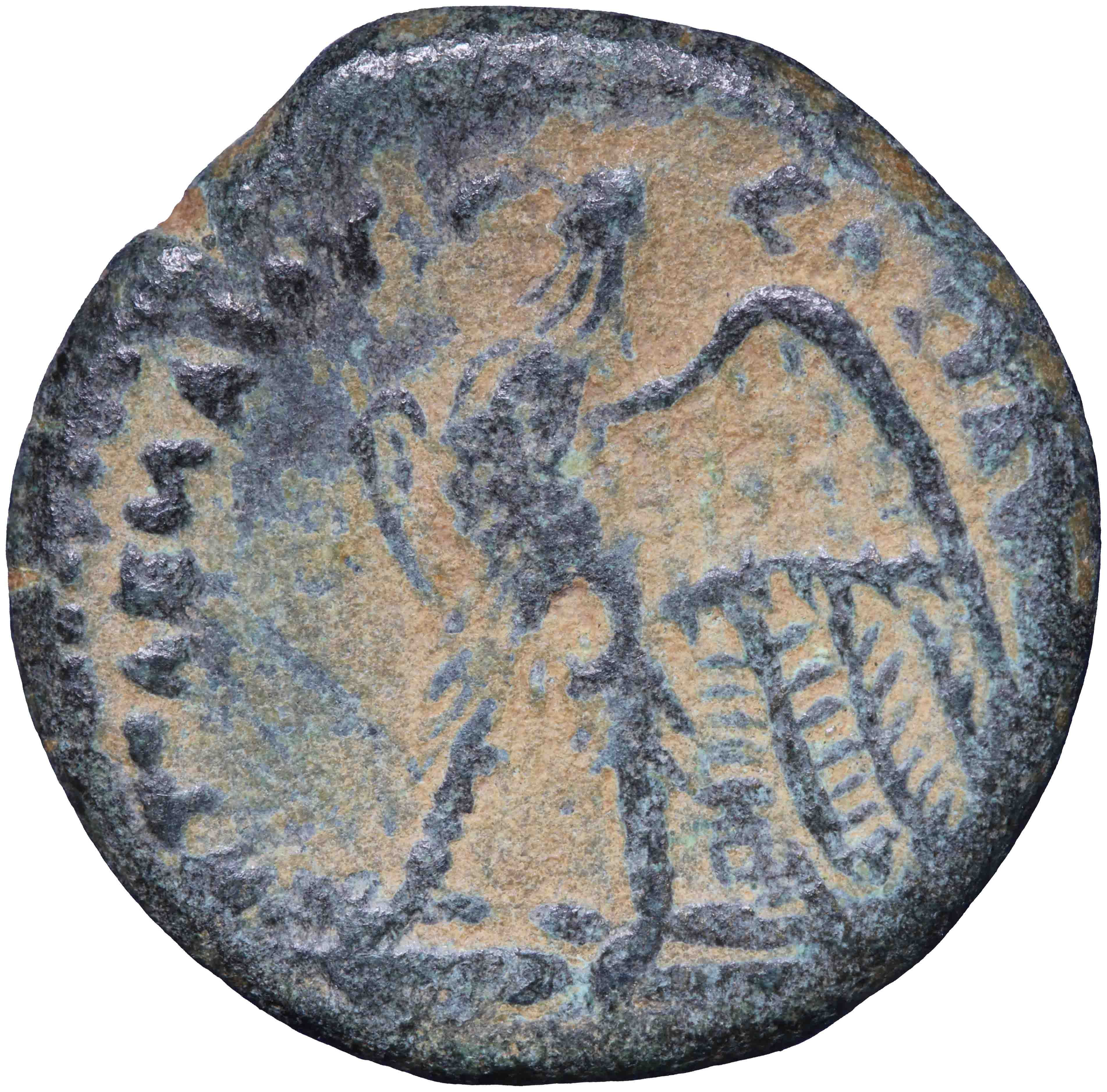 Image of the reverse. AE dichalkon (light). Inventory number:RE-02076