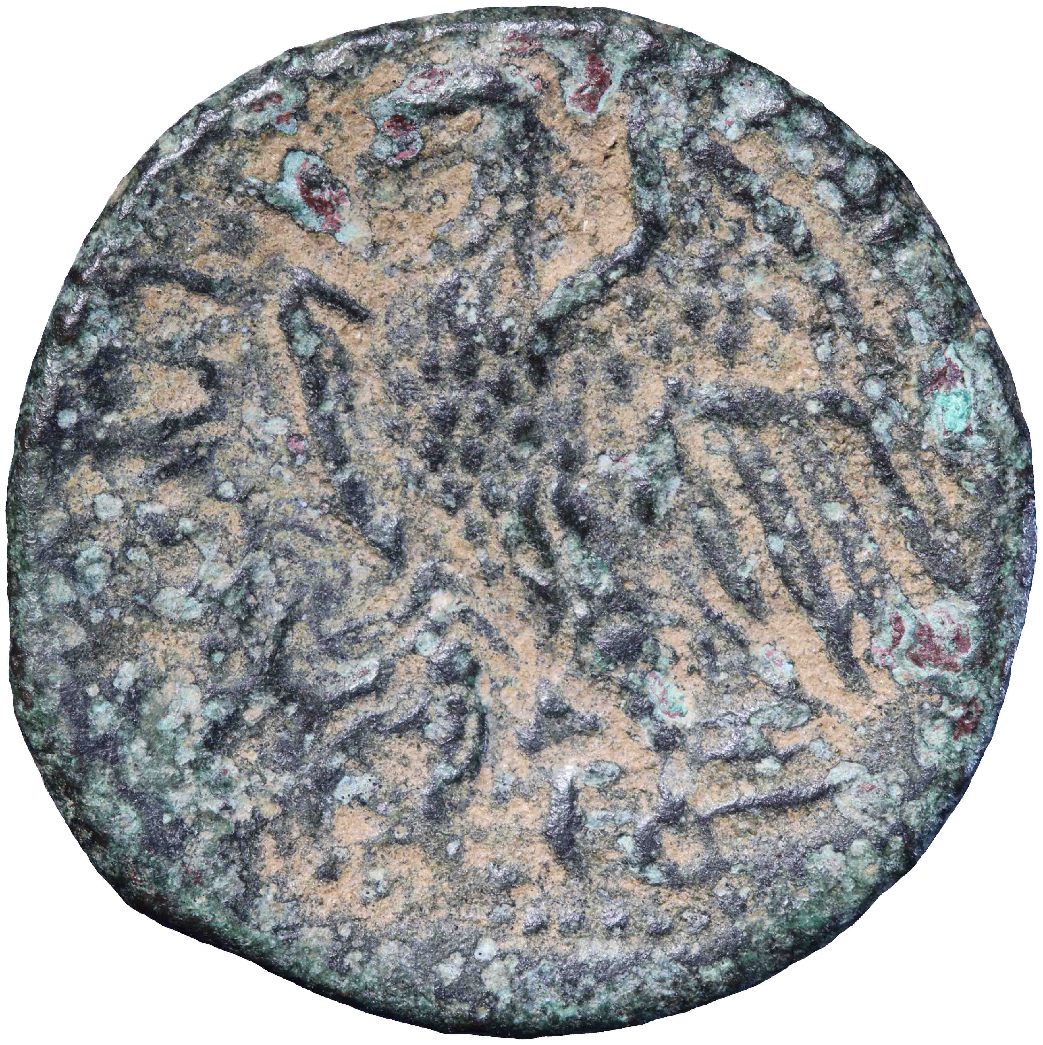 Image of the reverse. AE dichalkon (light). Inventory number:RE-02083