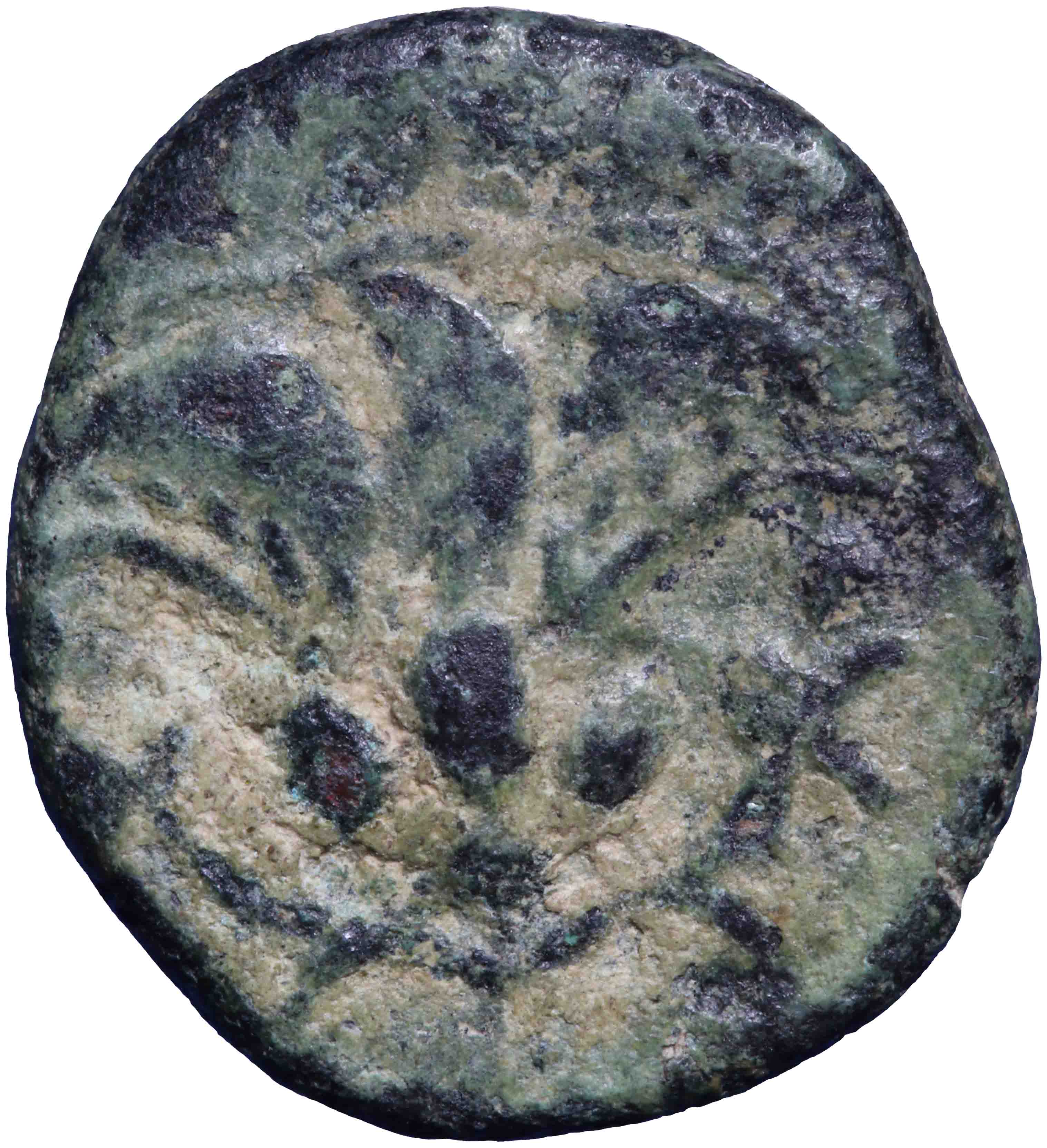 Image of the reverse. AE 12 mm. Inventory number:RE-02735