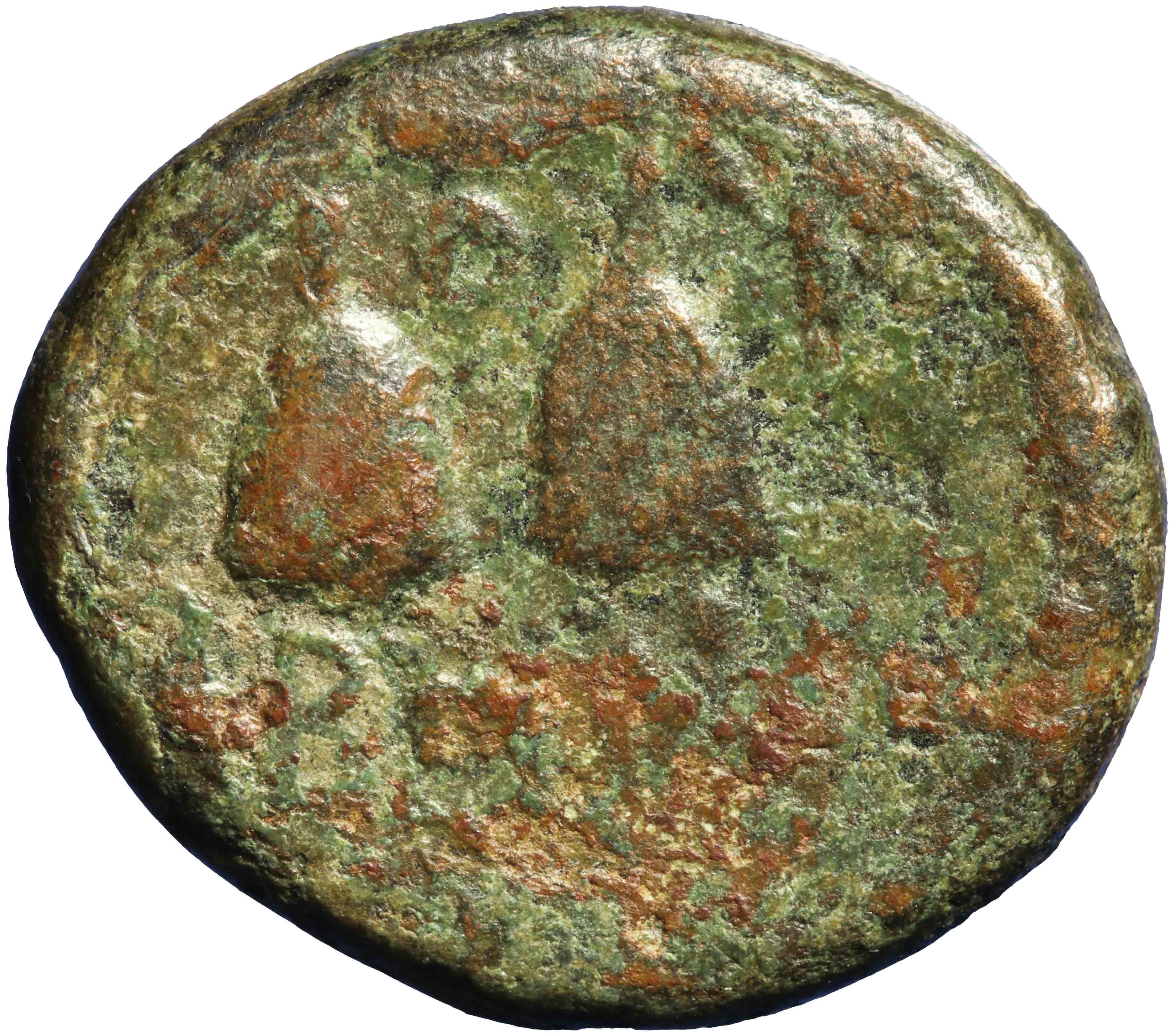 Image of the reverse. AE 18 mm. Inventory number:RE-02737