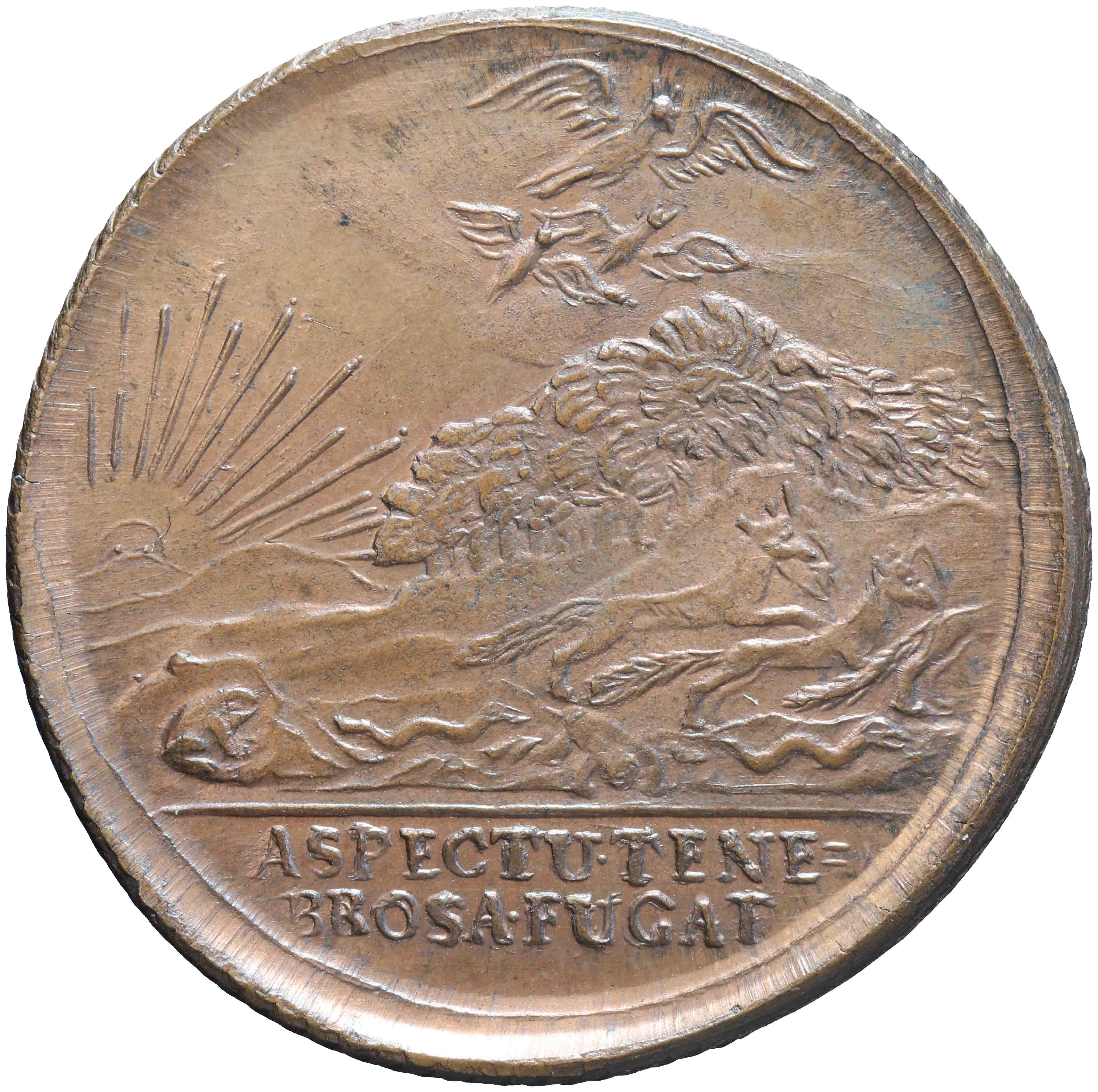 Afbeelding van de keerzijde. rekenpenning. Inventarisnummer:RP-04989