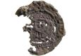 Image of the obverse. munten (z.j. (1197-1212))