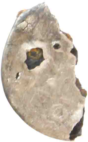 Afbeelding van de voorzijde. denarius. Inventarisnummer:1153379