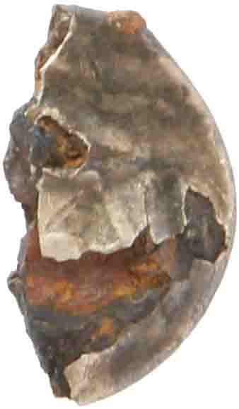 Afbeelding van de keerzijde. denarius. Inventarisnummer:1153379