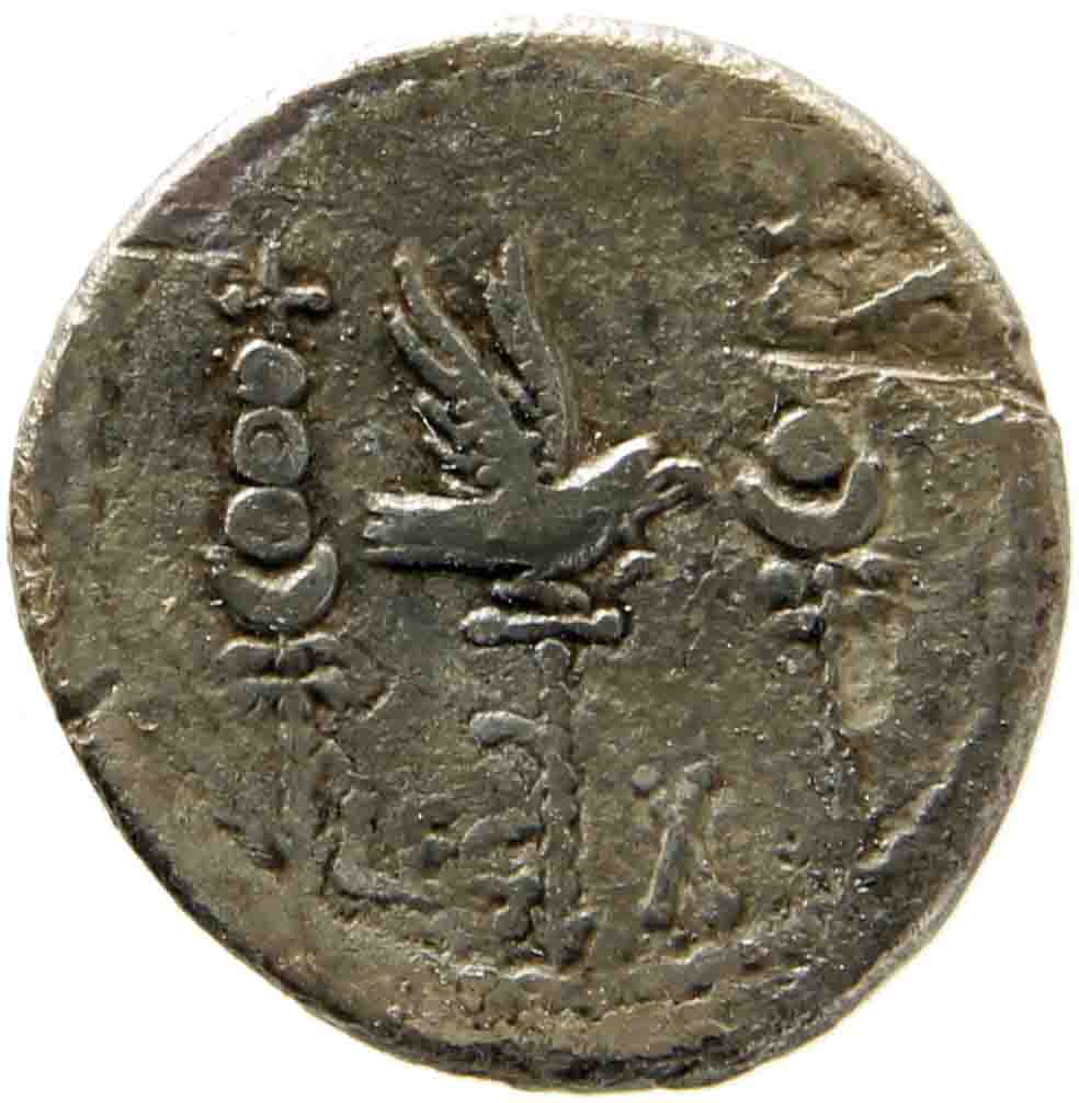 Afbeelding van de keerzijde. denarius. Inventarisnummer:1158084